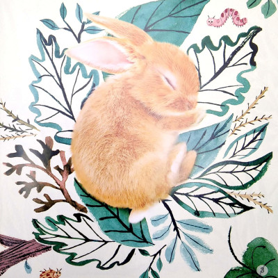 Ngủ Ngon Nhé, Thỏ Con!