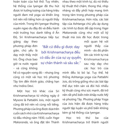 Sách Combo 2 quyển Yoga ( Yin Yoga + Vinyasa Yoga)