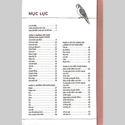 Hướng Dẫn Vẽ 100 Loài Động Vật Nuôi