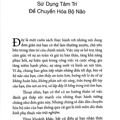 Tích Tiểu Thành Đại - Nuôi Dưỡng Bộ Não Phật Qua 52 Thực Hành Đơn Giản
