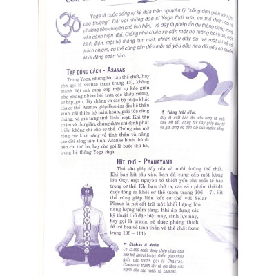 Yoga Tinh Thần Và Thể Chất