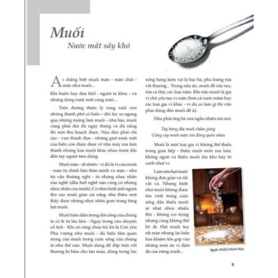 Sách Ẩm Thực - Hơi Thở Của Gia Vị Trong Bếp Việt (VT)