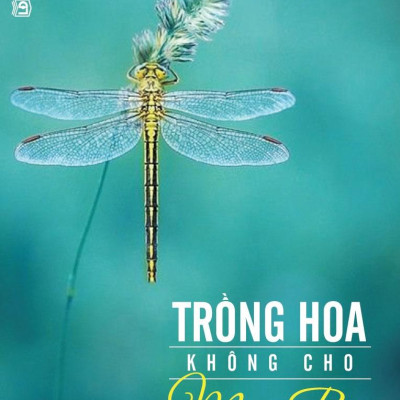 Trồng Hoa Không Cho Mọc Rễ (Tái Bản)