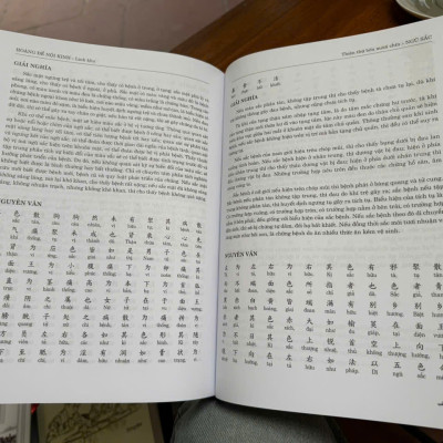 (Bìa cứng, tái bản 2025) HOÀNG ĐẾ NỘI KINH - LINH KHU - Dật Danh Bình giải - Tiến Thành dịch - Văn Lang Books