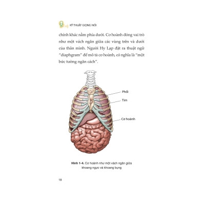 Sách - Kỹ Thuật Giọng Nói