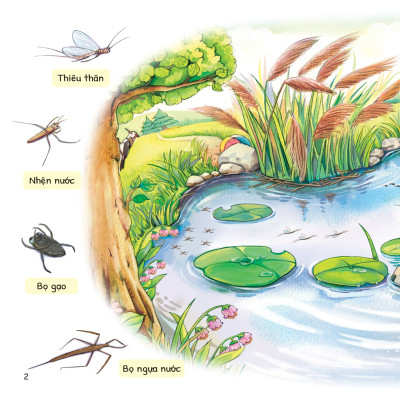 Cuộc Phiêu Lưu Của Mèo Tí Hon (MGB)