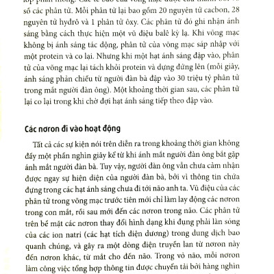 Khoa Học Khám Phá - Hỗn Độn Và Hài Hòa (Tái Bản 2023)