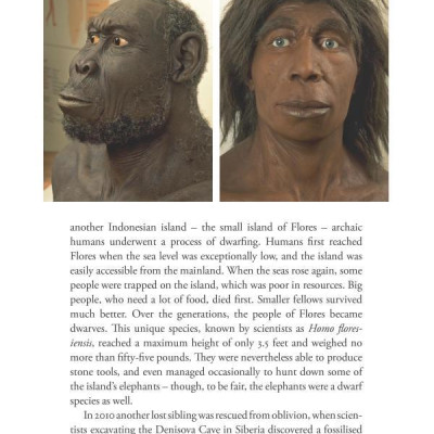 Sapiens : A Brief History of Humankind (Patterns of Life)