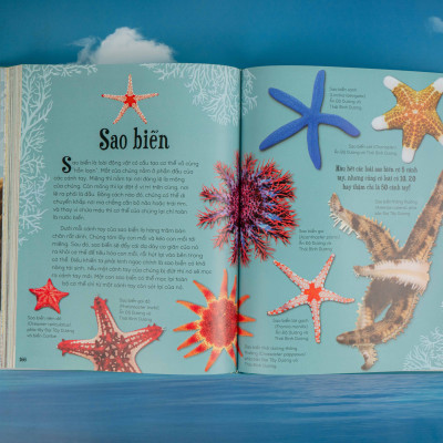 Sách - Bách khoa thư kỳ thú về Vũ trụ - Đinh Tị Books