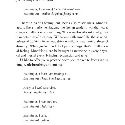 Happiness - Essential Mindfulness Practices