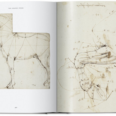 Artbook - Sách Tiếng Anh - Leonardo: The Complete Paintings And Drawings