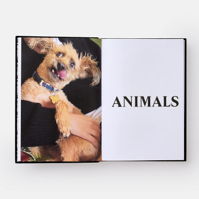 Palace Product Descriptions