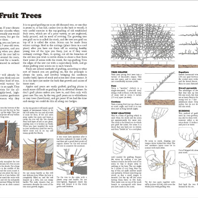 The Complete Book Of Self-Sufficiency - The Classic Guide For Realists And Dreamers