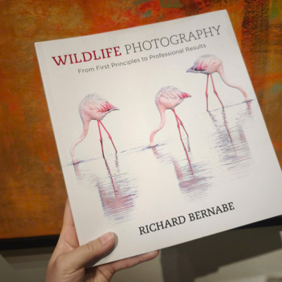 Sách - Wildlife Photography by Richard Bernabe - From First Principles To Professional Results