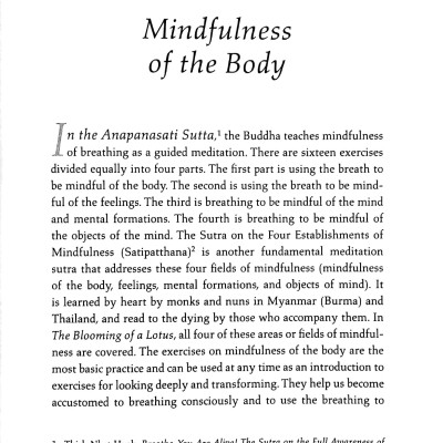 The Blooming Of A Lotus: Essential Guided Meditations For Mindfulness, Healing, And Transformation