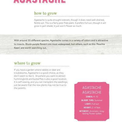 Best Perennials for Sun and Shade (Home Grown Gardening)