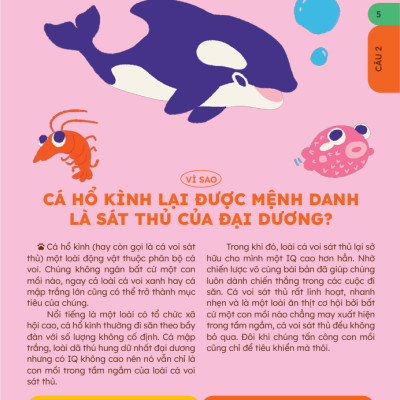 Sách - 10 Vạn Câu Hỏi Vì Sao? - Bộ 5 Cuốn In Màu: Động Vật, Thực Vật, Vũ Trụ Huyền Bí, Cơ Thể Người, Khoa Học Thú V