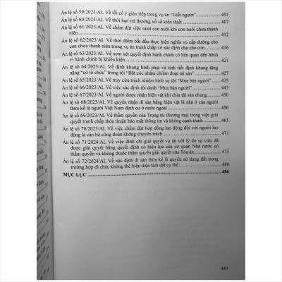 Sách Hệ Thống 72 Án Lệ Việt Nam Hiện Hành - V2462T