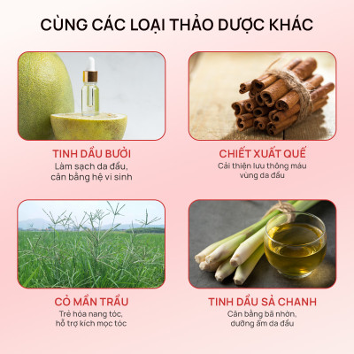 Dầu gội thảo dược Fresh Shampoo giảm rụng tóc, giảm gàu, nuôi dưỡng tóc mềm mượt và chắc khỏe từ gốc 500ml