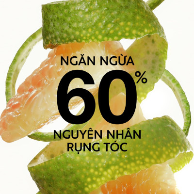 Nước dưỡng tóc tinh dầu bưởi Cocoon 140ml - 310ml