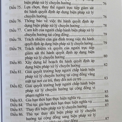 Luật Tư Pháp Người Chưa Thành Niên