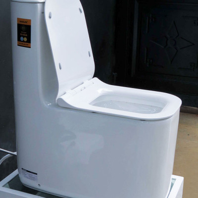 Bồn cầu 1 khối cao cấp tiêu chuẩn xuất Châu Âu, men Nano tuyết bóng sáng, nắp đóng siêu êm, 2 chế độ xả Eurolife EL-LUX 0313 (Trắng). Mẫu độc quyên của Eurolife tại thị trường Việt Nam.