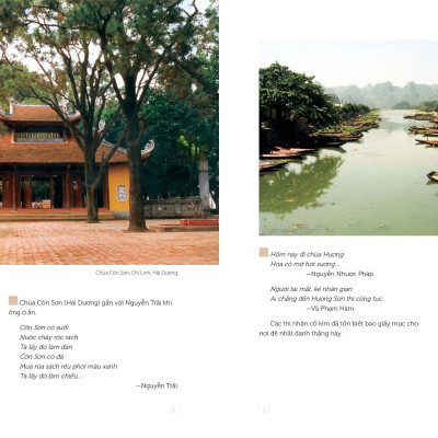 Nghệ Thuật Việt Nam - Bìa Cứng