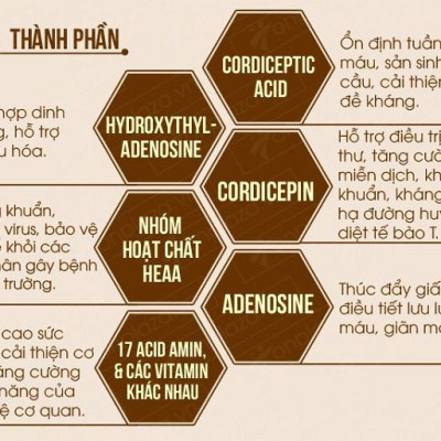 Mật ong Sợi Đông trùng hạ thảo Dr. Trung (300ml) - Loại Ngâm Sợi Sấy thăng hoa - Tăng sức đề kháng, hệ miễn dịch, ngăn lão hóa, , trẻ hóa làn da, hỗ trợ giảm ho, hen suyễn và cải thiện giấc ngủ
