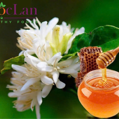Mật ong hoa cà phê Mộc Lan - đặc sản Đắk Lắk - hoa cafe - 1 Lit