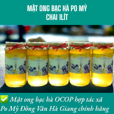 BỘ QUÀ MẬT ONG BẠC HÀ OCOP HÀ GIANG CHÍNH HÃNG, MẬT ONG BẠC HÀ PO MỶ VIETGAP CAO NGUYÊN ĐÁ HÀ GIANG