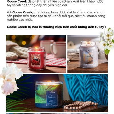 Nến ly 3 bấc sáp đậu nành For Men Goose Creek (411g) - Driftwood