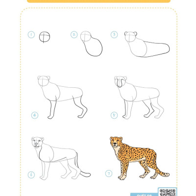 365 Ngày Luyện Vẽ Thế Giới Động Vật - Tập 2