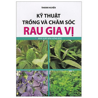 Kỹ Thuật Trồng Và Chăm Sóc Rau Gia Vị