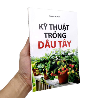 Kỹ Thuật Trồng Dâu Tây