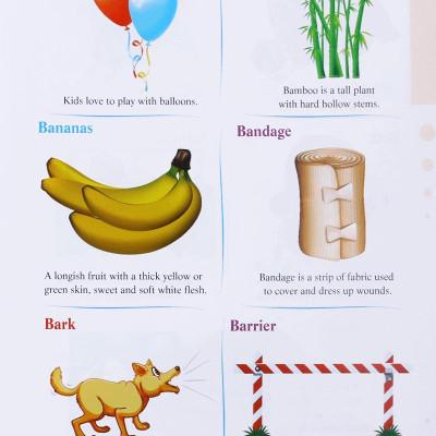 Từ Điển Tiếng Anh Bằng Tranh - My First Picture Dictionary