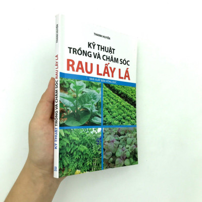 Kỹ Thuật Trồng Và Chăm Sóc Rau Lấy Lá