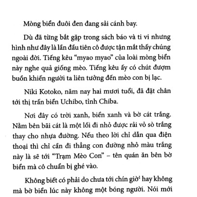Những Bữa Cơm Hoài Niệm Ở Trạm Mèo Con