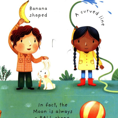 What Is The Moon? (Very First Lift-the-Flap Questions & Answers)