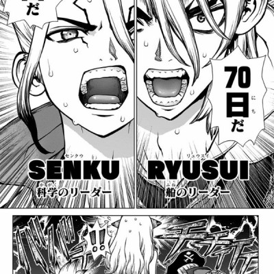 Dr. STONE 17 (ジャンプコミックス)