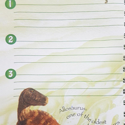 My Dinosaur Diary