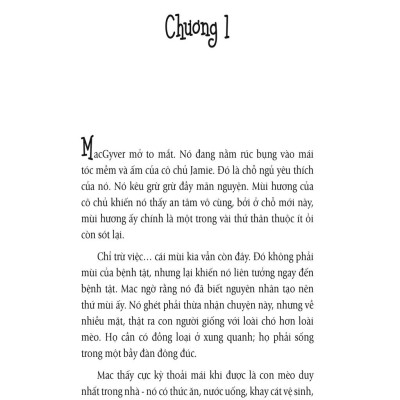 Talk To The Paw Nhân Duyên Mèo Định - Bản Quyền