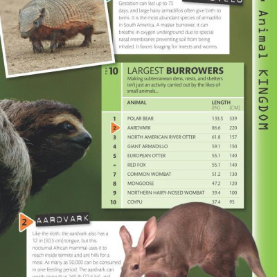 Top 10 of Everything 2018