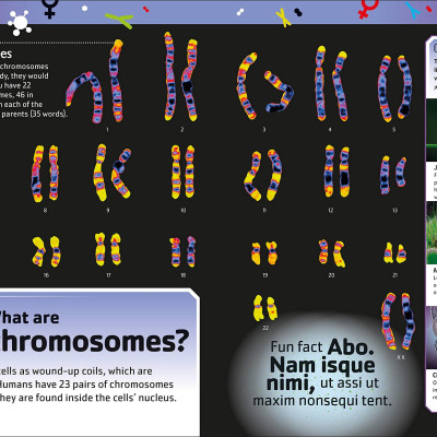 The Dna Book: Discover What Makes You You