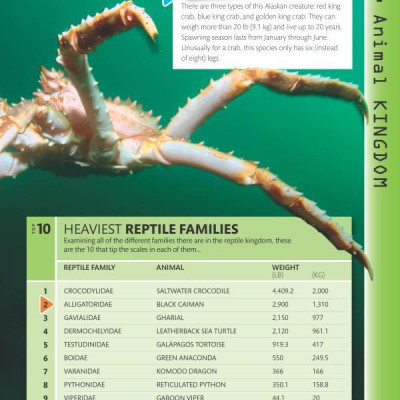 Top 10 of Everything 2018