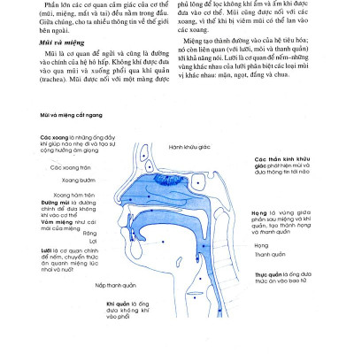 Bên Con Khi Con Đau Bệnh