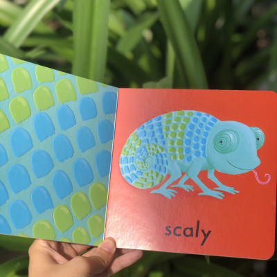 Campbell Animals (Series A Bumpy Book)