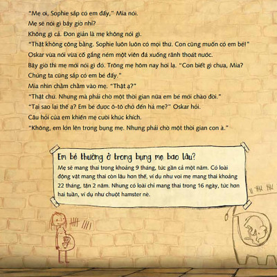 Có Một Em Bé Trong Bụng Mẹ