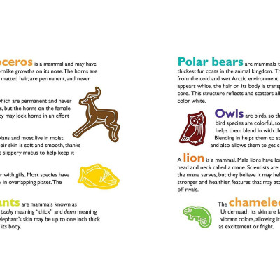 Feathers And Hair, What Animals Wear