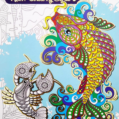 Enchanting Adult Colouring Series: Book 1