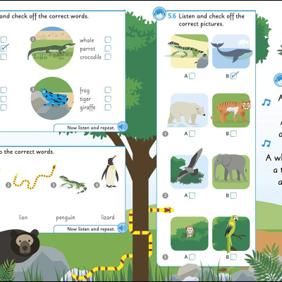 English For Everyone Junior: Beginner
